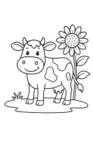 Lieselotte mit Sonnenblume