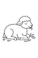 Schaf liegt entspannt