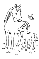 Fohlen mit Schmetterling