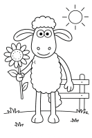 Shaun mit Sonnenblume