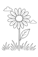 Gänseblümchen auf Wiese