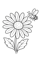 Gänseblümchen mit Biene