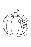 Kürbis mit Marienkäfer