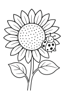 Sonnenblume auf Wiese