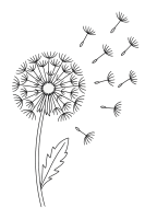 Pusteblume auf Wiese