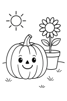 Kürbis im Garten Sonnenblume