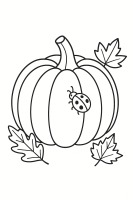 Kürbis mit kleiner Schnecke