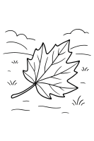 Herbstblatt Waldlichtung