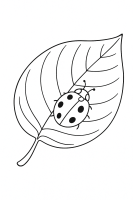 Blatt mit Marienkäfer