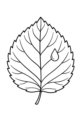 Realistisches Blatt: Farben der Natur entdecken - Coloring Page