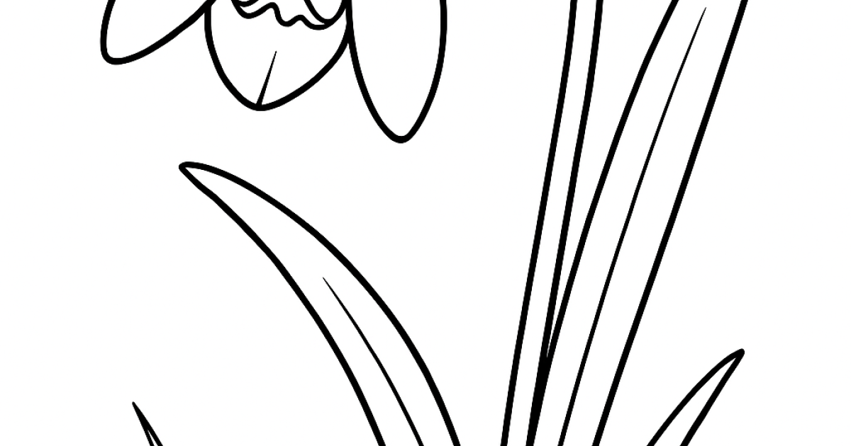 Snowdrop Coloring: Little Spring Discoverers | Colorino