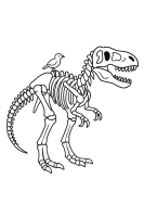 Dino Skeleton Rainbow Clouds