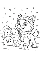 Everest auf Schlitten