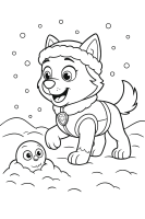 Everest mit Schneeflocke