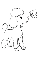 Pudel und Schmetterling