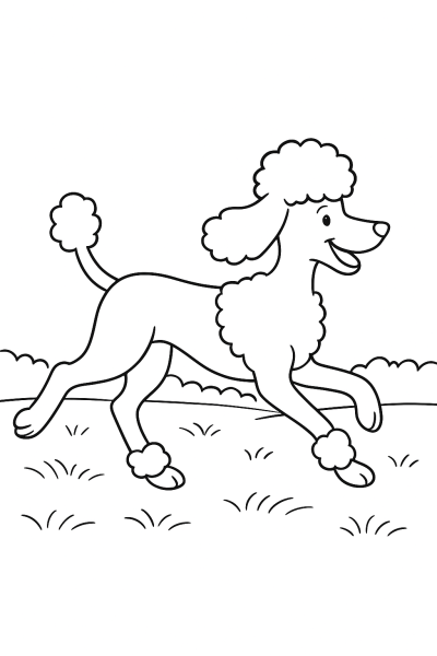 My Cute Poodle: A Realistic Coloring Page