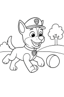 Chase schläft friedlich