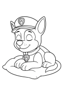 Chase auf Entdeckungstour