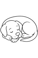 Hund schläft friedlich