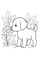 Hund schnüffelt Blume