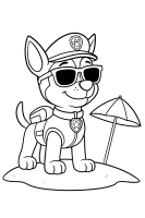 Chase on Summer Vacation