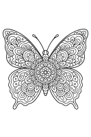 Symmetrie Vogelperspektive