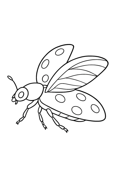 Mein erster realistischer Marienkäfer zum Ausmalen