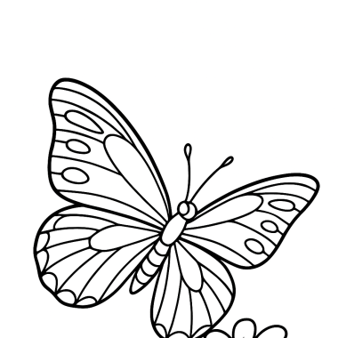 Mein erster realistischer Schmetterling zum Ausmalen