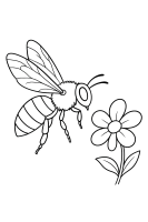 Biene fliegt zur Blume