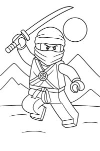 Ninjago Helden: Malspaß für kleine Meister-Ninja!