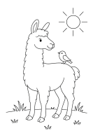 Lama Familie mit Lämmern