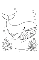 Lachender Wal mit Korallen