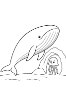 Wal und Qualle in Höhle