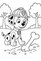 Marshall zwinkert mit Sonne