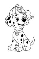 Marshall mit Eichhörnchen