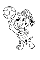 Marshall springt nach Ball