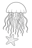Jellyfish with Starfish