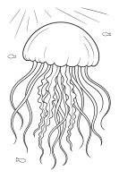 Jellyfish in Sunlight