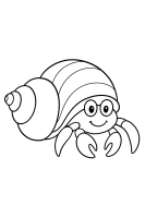 Muschel Einsiedlerkrebs