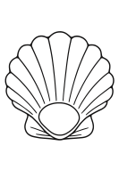 Muschel geöffnet innen