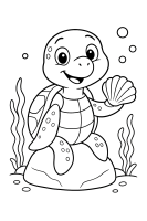 Schildkröte mit Muschel