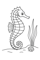 Seepferdchen am Meeresgrund