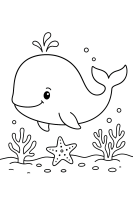 Wal mit Seestern Schatz