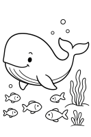 Wal lächelt frontal