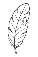 Feder mit Tautropfen