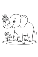Elefant pflückt Blumen