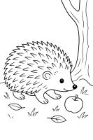 Igel entdeckt Apfel