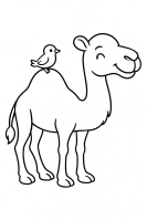 Zwinkerndes Kamel mit Vogel