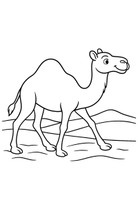 Mein erstes Kamel: Ausmalspaß in der Wüste!