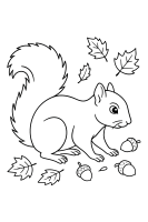 Eichhörnchen im Herbstlaub